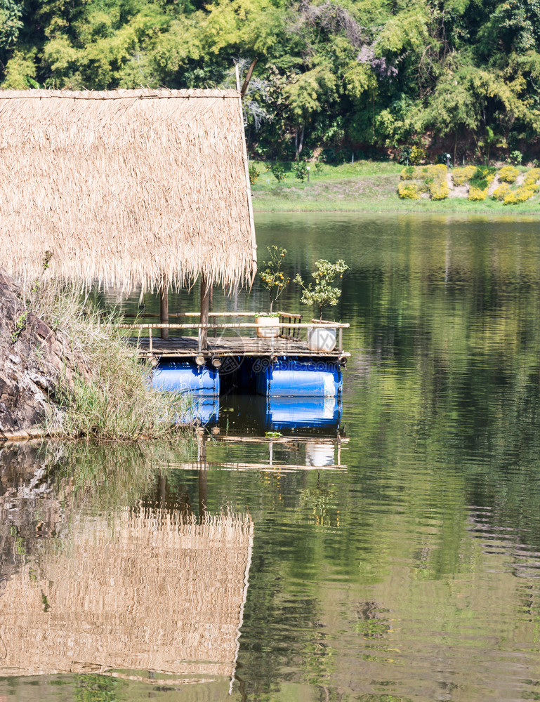 放松森林在公园小湖的清澈水域上漂浮着木林展厅筏场景图片