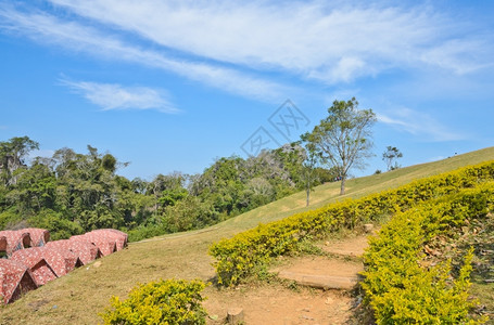 旅行红色的带露营帐篷山林场景图片