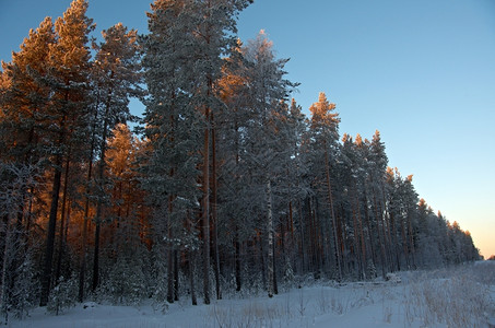 冬季日落风景图片