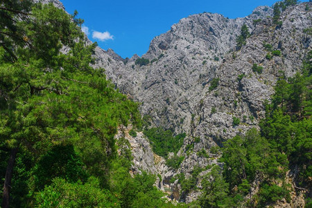 水戈努克山附近上叶柳峡谷的景象安塔利亚自然图片