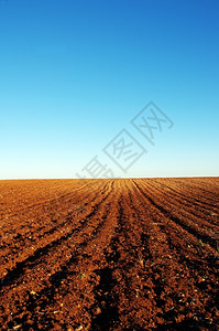 土壤地球在葡萄牙南部的田地耕种乡村质地高清图片素材