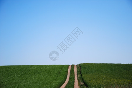 地平线生长春天乡村景观中笔直的乡间小路公园图片