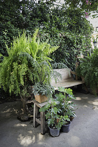 夏天自然室外花园的木林摇椅股票照片摄影图片
