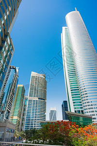 迪拜Marina市有高楼建筑的城市景点反射窗户塔图片