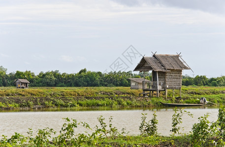 泰国水产养殖业小努帕棕榈叶屋树天空植物高清图片