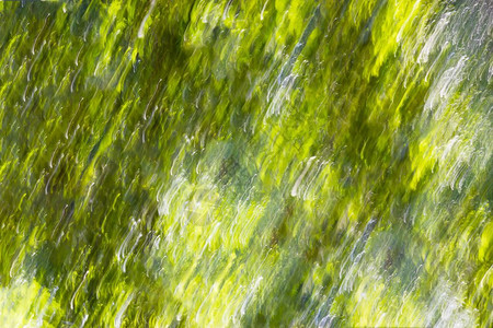 最小的对角夏季绿色运动模糊背景对角夏季绿色运动模糊背景高清充满活力雨图片