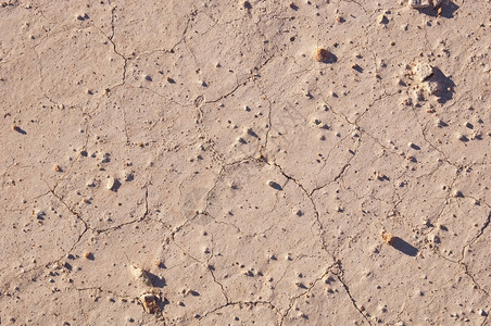 土地泥黏干燥的面裂缝从纹理背景到图片