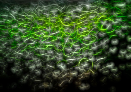 模糊墙纸明亮的科学绿色粒子插画背景科学绿色粒子插画背景高清图片
