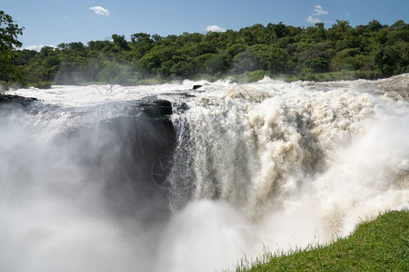 乌干达穆尔奇松瀑布的全景风自然的水图片