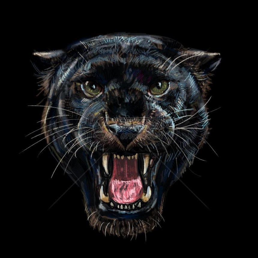 黑色背景中咆哮的黑豹色背景中咆哮的黑豹数字绘画生物形象的毛皮图片
