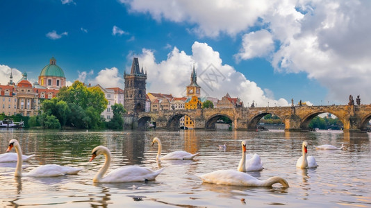 布拉格市下捷克旧城风景世界旅行概念见光和世界旅行市中心老的风景优美图片