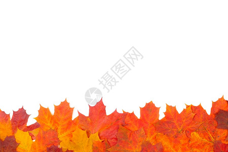 多彩秋叶边框背景背景图片
