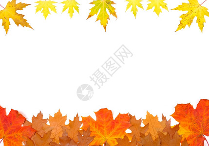秋叶多彩多彩秋叶框架背景设计图片