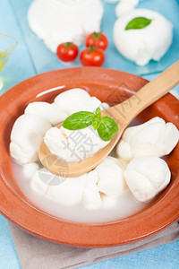 陶瓷锅中的意大利新鲜奶制品意大利语开胃菜番茄图片