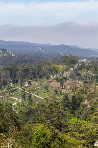 葡萄牙辛特拉的Pena自然林公园带有树木和石块地标葡萄牙语旅行图片