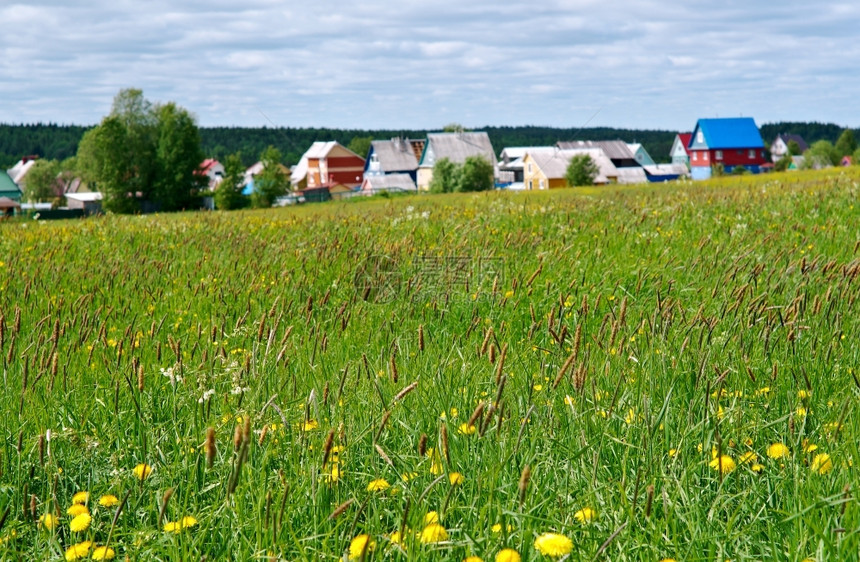乡村的绿色俄语北罗斯村庄Arkhangelsk地区俄罗斯北部图片