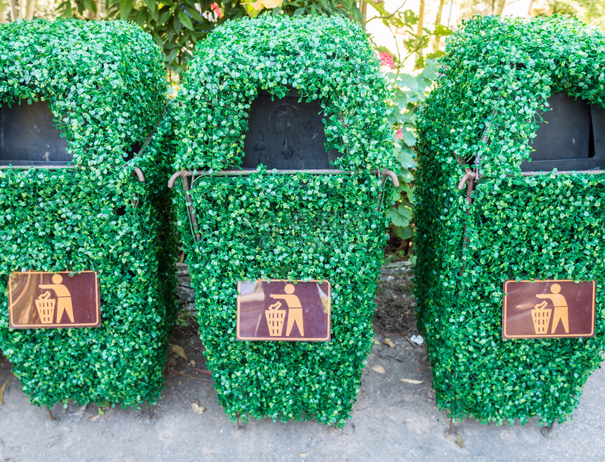 在乡村公园里旧的垃圾箱被塑料藤覆盖空的存储图片