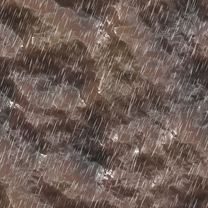 泥滩05号猪雨外部湿透的高清图片素材