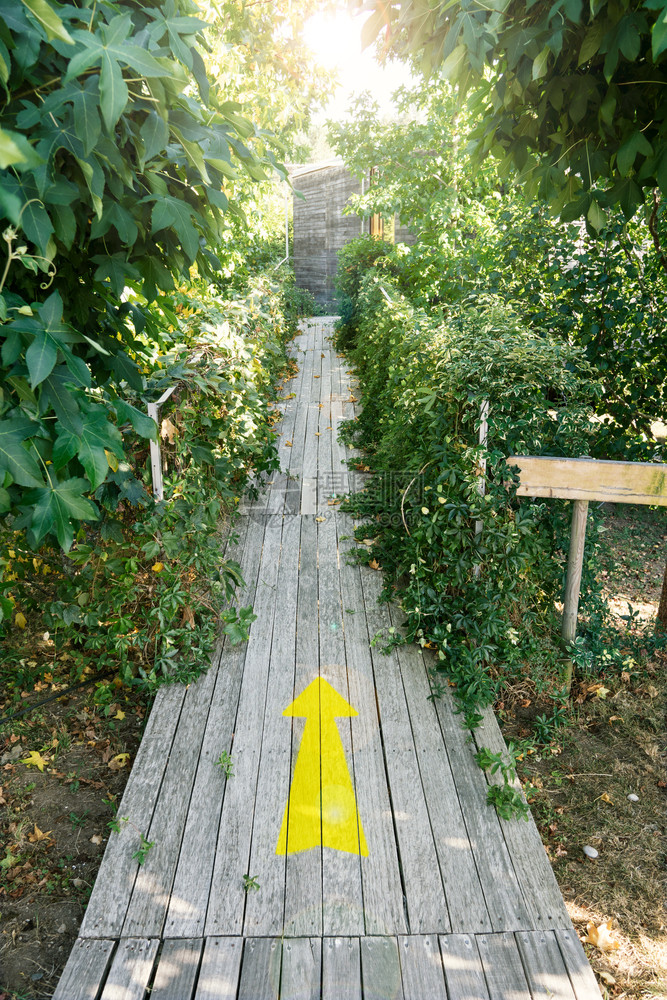 小路在木板上涂画的黄箭方向或指导概念木制的旅行图片