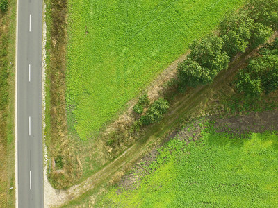 树木土地空中照片左边的街道树林在草地上的对角分形小路线上车道图片