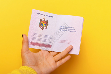 超过手持黄色背景的摩尔多瓦开放护照O女士黄色的图片