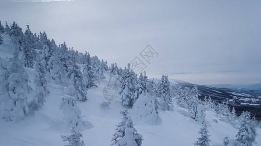 天空日本山丘和森林上的雪下爬坡道图片