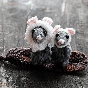黑色的两只紧闭灰鼠坐在叶子上可爱的小老鼠毛笔从漆黑木头的缝线上制帽子图片