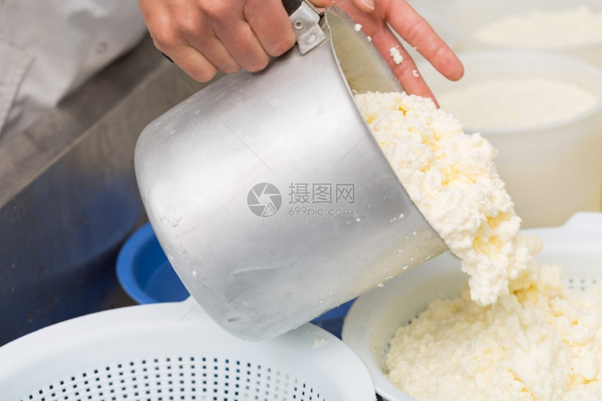有机的乳制品农场手工艺用新鲜牛奶在锅里做酪图片