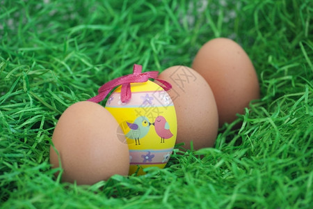 黄色的华丽东季美装鸡蛋的背景照片桶背景图片