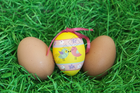 庆祝绿色东季美装鸡蛋的背景照片华丽背景图片