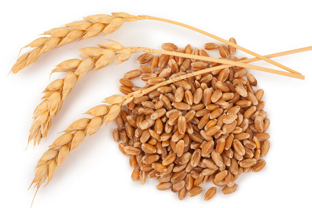 面包小麦和谷物耳朵生的金子图片