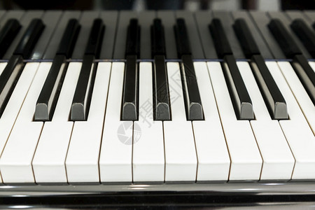 履行器乐的黑色钢琴和键盘音乐器黑人和白乐器音工具关键侧视图图片