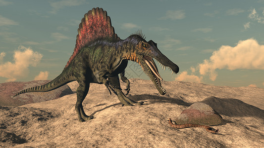 日落前在沙漠里猎蛇的脊椎恐龙3D使脊柱恐龙成为蛇3D蜥蜴捕食者肉动物图片
