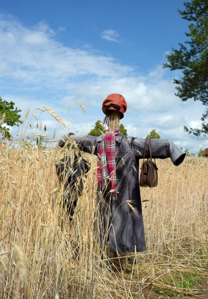 吓玩具娃在夏季的波兰草原上稻人在小麦角上非常受农民欢迎但时至今日你可以在田野里看到他们乡村化的图片