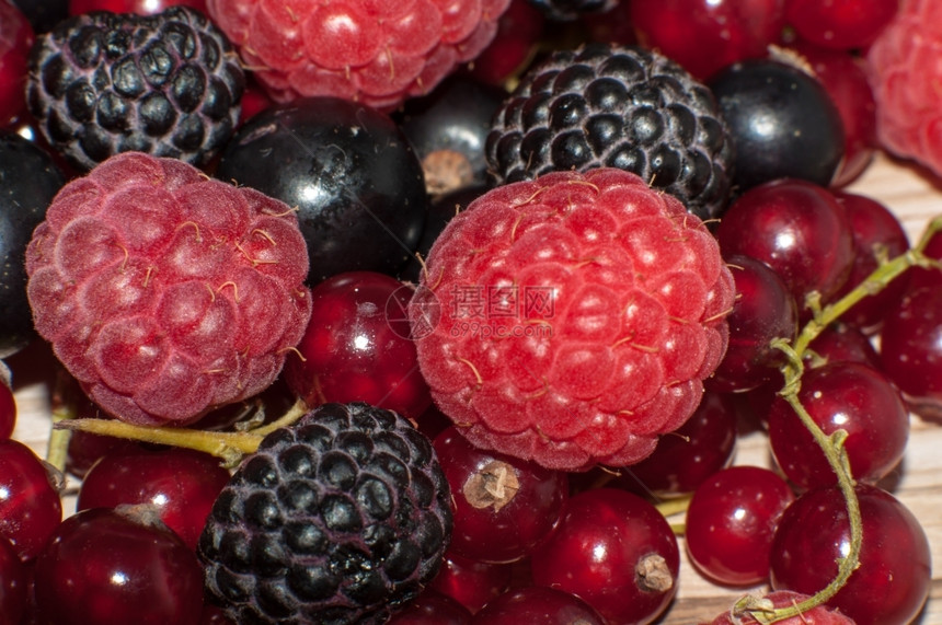 由熟的清鲜多汁夏季浆果混合而成自然黑色的营养图片