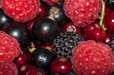 抗氧化剂素食主义者由熟的清鲜多汁夏季浆果混合而成营养图片
