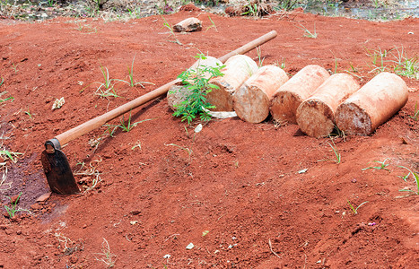 工具生态的外部红干土上用于园艺的老图片