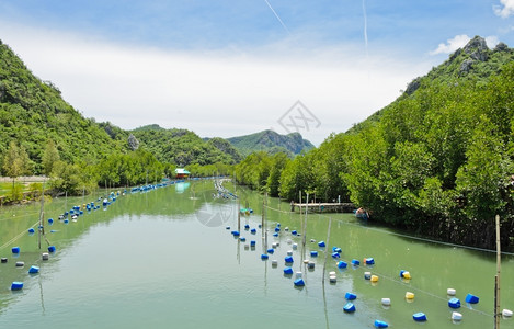 汗天空户外泰国石灰岩山沿岸的虾田图片