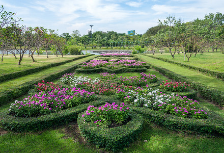 花园美丽风景城市公园湖附近的鲜花灌木图片