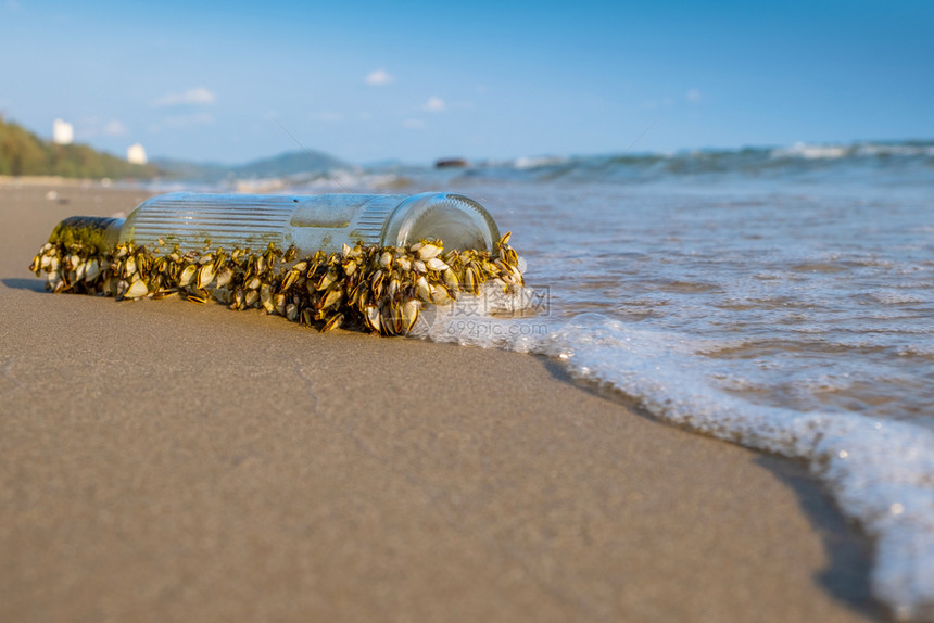 贝壳沙滩上装有海的旧玻璃瓶图片