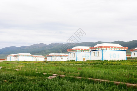 白色的蒙古帐篷或草地上的雪鼠门中央高清图片