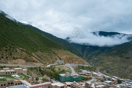 旅行松树风景优美山坡在云中躺着青绿的阴锥被迷雾笼罩在景色风中图片