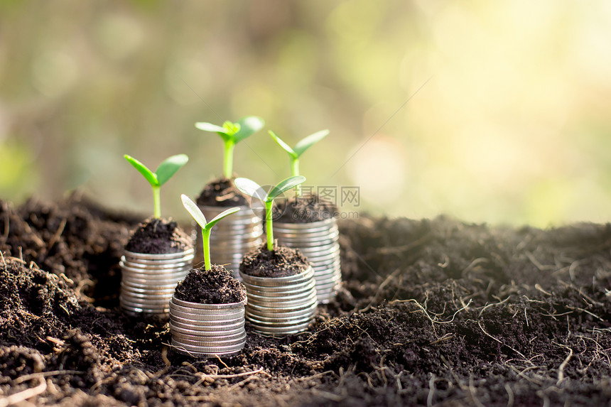 经济金融树苗生长在地上的硬币保护图片