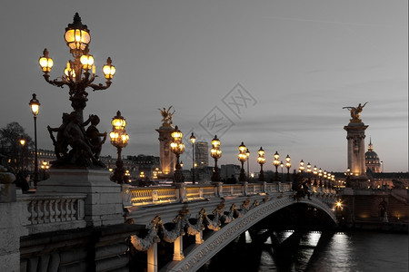 旅行亚历山大三桥法国巴黎路灯旅游的图片