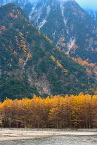 树叶日本长野中原阿尔卑斯山之间的天然蓝河吸引力公园背景图片