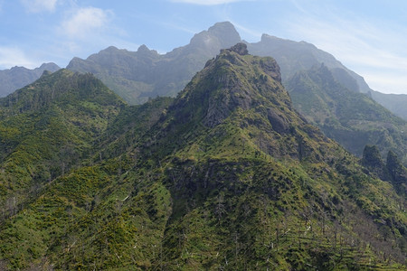 绿色雄伟葡萄牙马德拉岛SerradeAgua地区的风景山观夏天图片