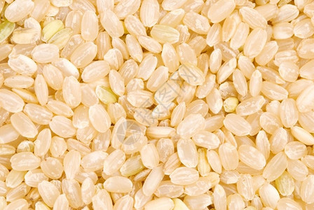 主要的褐稻底主要食品素义者玉米图片