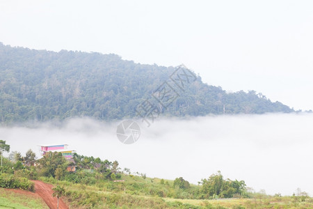 天气场景美丽的清晨寒冷山顶有雾覆盖的森林中藏有雾图片