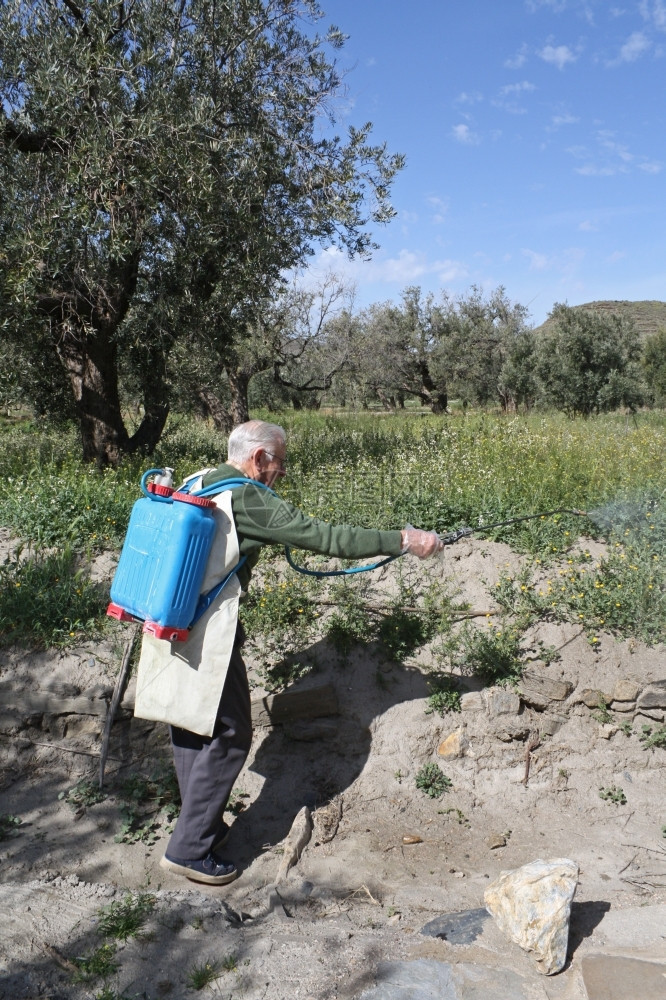 一名年长的农民在西班牙橄榄树田喷洒除草杀虫剂乡村的喷涂农业图片
