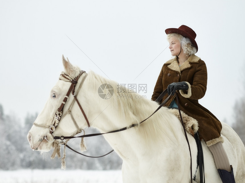 乡村的雪穿着冬衣和帽子的迷人女骑着白马森林图片